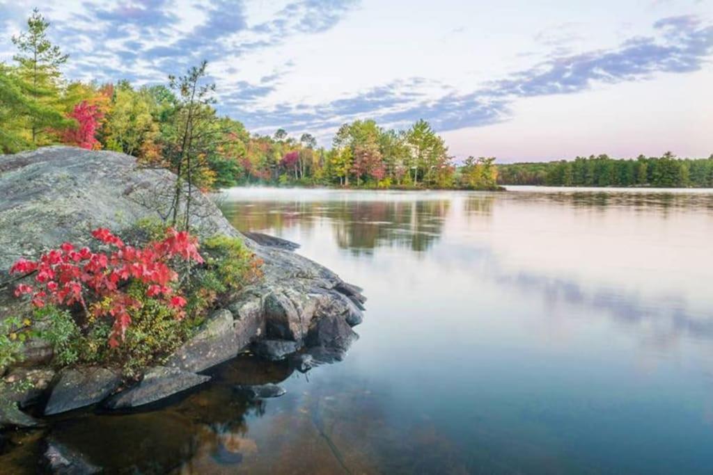 Private With Huge Private Dog Park! Barrys Bay