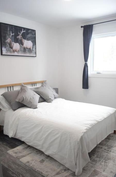 Private With Huge Private Dog Park! Holiday home *