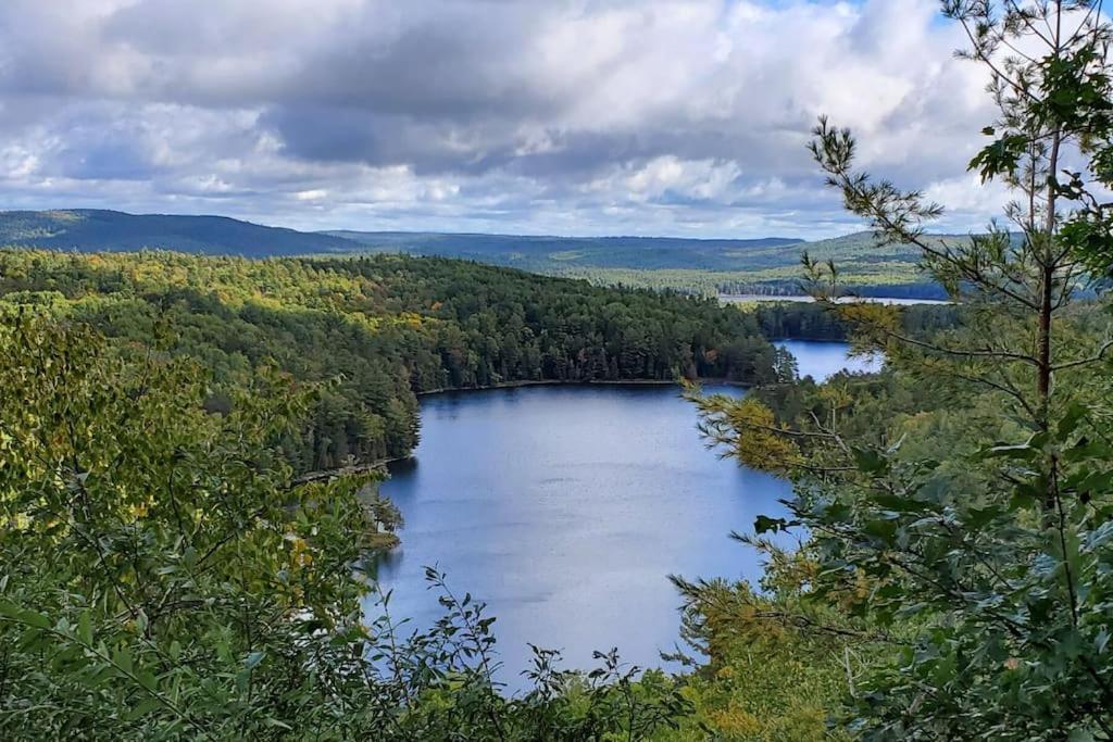 Holiday home Private With Huge Private Dog Park! Barrys Bay