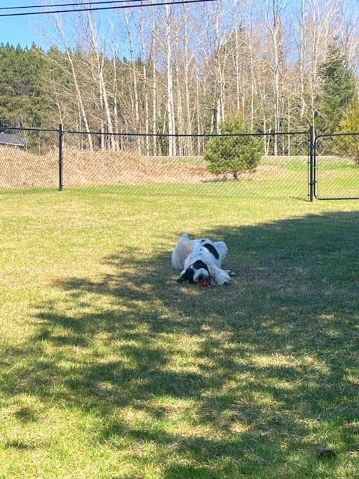 Private With Huge Private Dog Park! * Barrys Bay