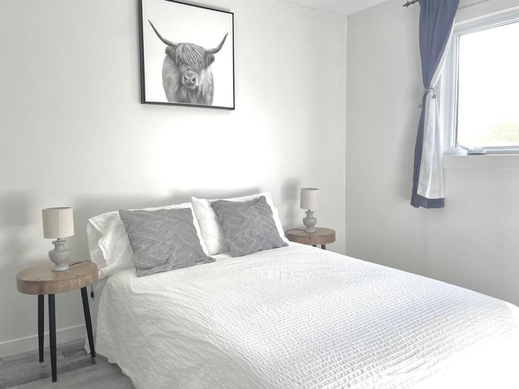 Private With Huge Private Dog Park! Holiday home *